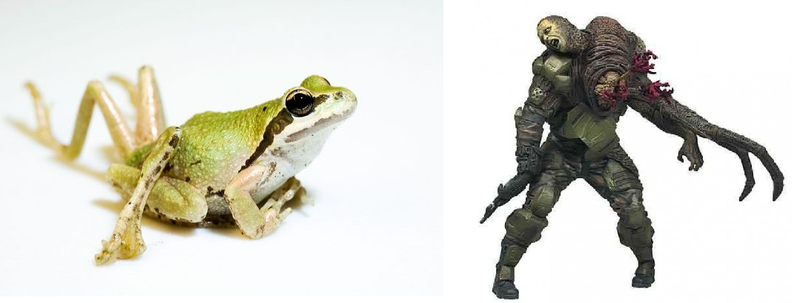Illustration for article titled Real-Life Parasites That Behave Remarkably Like Halo's Most Disgusting Enemy